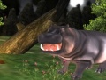 Lalao Wild Hippopotamus Hunting