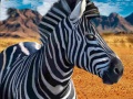 Lalao Zebra Hunter