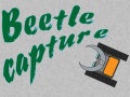 Lalao Beetle Capture