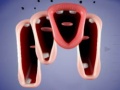 Lalao Crazy Lips