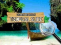 Lalao Hidden Objects: Tropical Slide