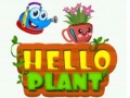 Lalao Hello Plant 