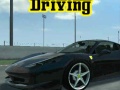 Lalao Ferrari Track Driving 2