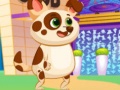 Lalao Lovely Virtual Dog