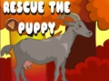 Lalao Rescue The Puppy