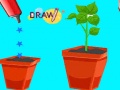 Lalao Draw Missing Part