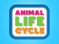 Lalao Animal Life Cycle
