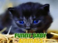 Lalao Funny Baby Animals