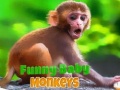 Lalao Funny Baby Monkey
