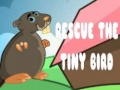 Lalao Rescue The Tiny Bird