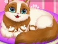 Lalao Cute Kitty Pregnant