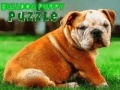 Lalao Bulldog Puppy Puzzle
