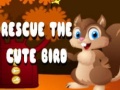 Lalao Rescue The Cute Bird