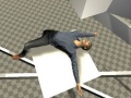 Lalao Ragdoll Test