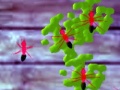 Lalao Smash Ants