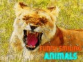 Lalao Funny Smiling Animals