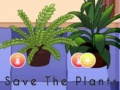 Lalao Save the Plants