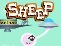 Lalao Sheep