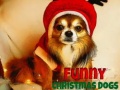 Lalao Funny Christmas Dogs