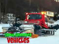 Lalao Snow Groomer Vehicles