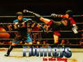 Lalao Fighters in the Ring