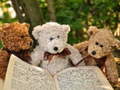 Lalao Cuddly Three Teddy Jigsaw