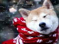 Lalao Winter Pets Puzzle