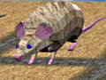 Lalao Mouse Race Islands