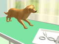 Lalao Paw Care