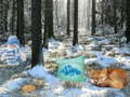 Lalao Winter Wonderland Forest Adventure