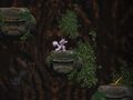 Lalao Cave Descent