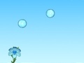 Lalao Feed the Flowers