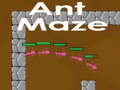 Lalao Ant maze