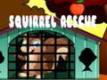 Lalao Squirrel Rescue