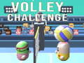 Lalao Volley Challenge