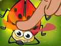 Lalao Insect Crush