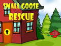 Lalao Small Goose Rescue