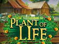 Lalao Plant of Life