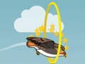 Lalao Flying bird