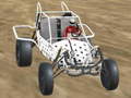 Lalao Crazy Buggy Demolition Derby