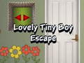 Lalao Lovely Tiny Boy Escape