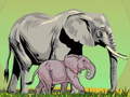 Lalao Wild Animals and Their Babies