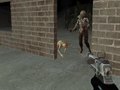 Lalao Zombie Apocalypse Now Survival