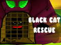 Lalao Black Cat Rescue