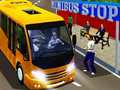 Lalao City Minibus Driver