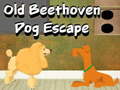 Lalao Old Beethoven Dog Escape