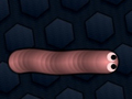 Lalao Math Slither
