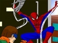Lalao Spiderman Customization