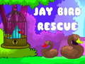 Lalao Jay Bird Rescue