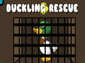 Lalao Duckling Rescue